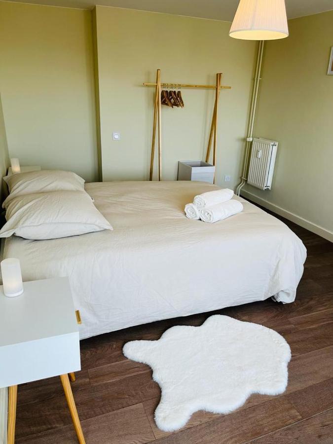 Espace 500 - Cosy, Wifi & Vue Sur La Ville Saint-Etienne  Eksteriør bilde